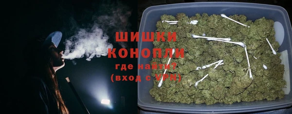 Альфа ПВП Мегион