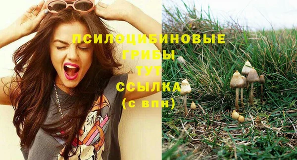 гашишное масло Медногорск